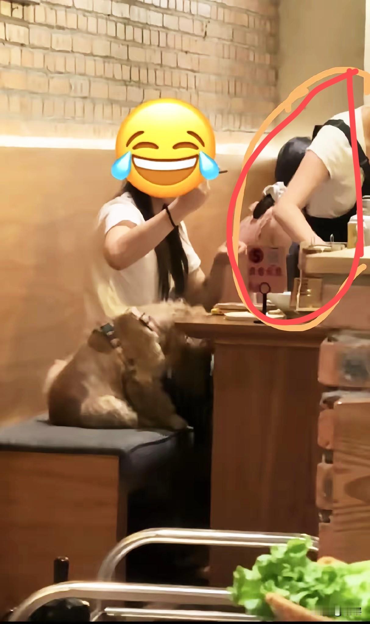 太离谱！重庆烤肉店纵容狗狗坐餐椅就餐，网友怒了：底线在哪？
 
你能接受餐厅里，