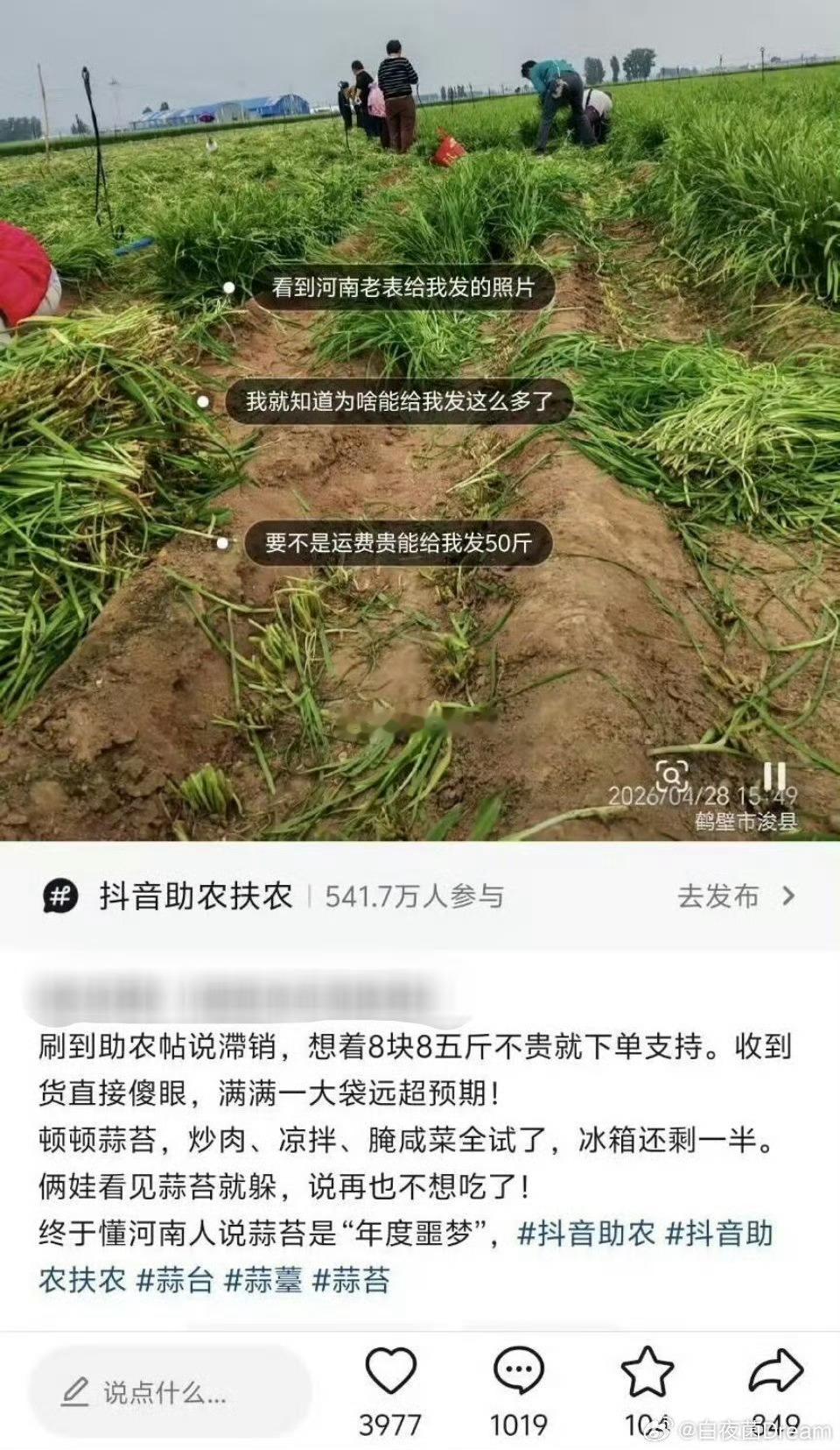 河南蒜苔 再说原地址给你补五十斤这么说吧山东农村，三个人收了一整天的蒜薹，卖了十