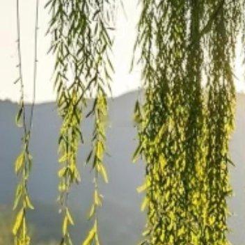 每日一善 每日一善 阳光信用 世事忙忙如水流，休将名利挂心头。粗茶淡饭随缘过，富