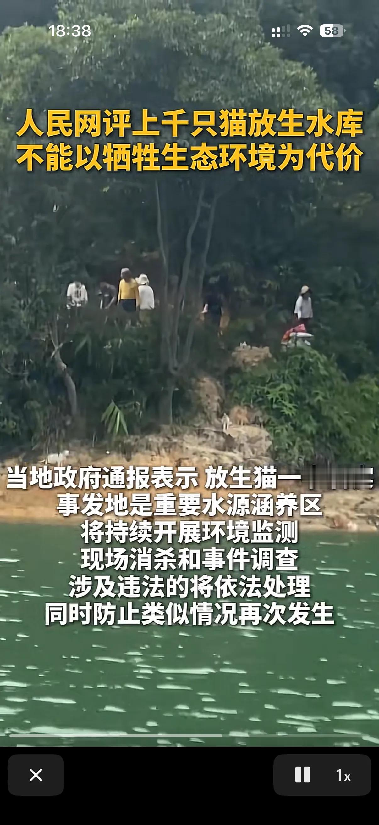 放生是行善积德，但是无脑放生那可就是缺德作孽了！
日前在广东清远就有这么一波人，