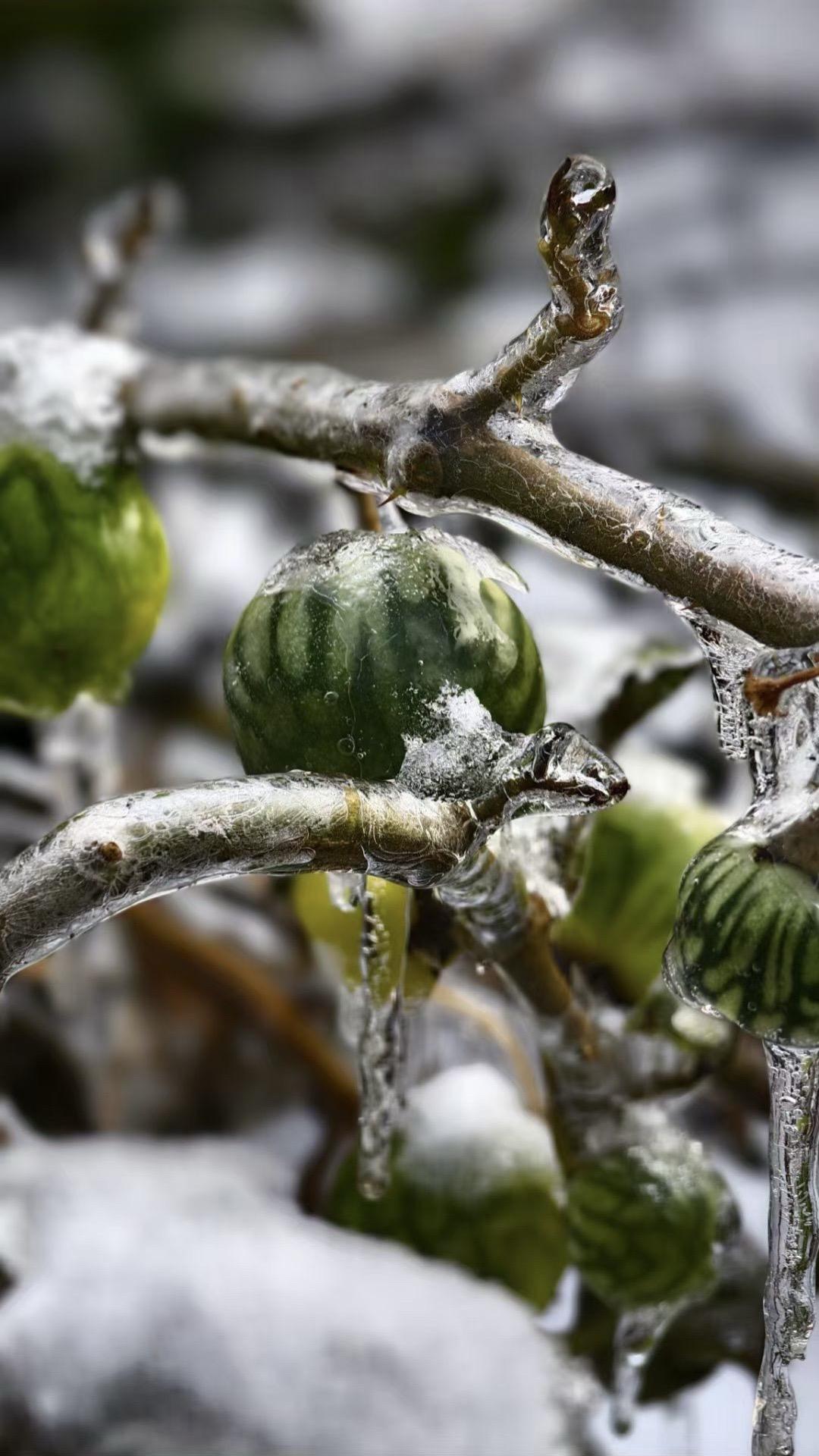 车窗外已经是一片白雪茫茫 又一个四季在轮回