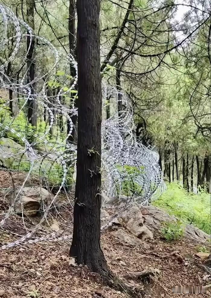 你支持泰山景区安装防护网吗危险区域加装简易防护我是支持的，能防止游客误入野路、减