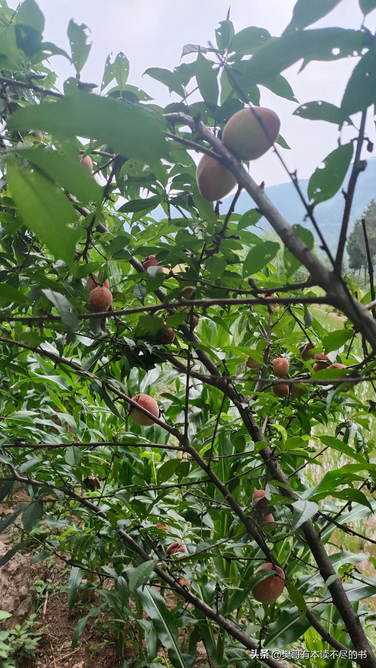 晒图笔记大赛