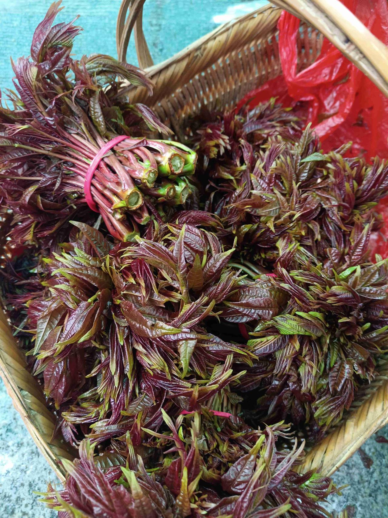 我的今日状态：😁轻松愉快
我这里的天气：🌧下雨
春天尝鲜的头一波野生鲜嫩的“