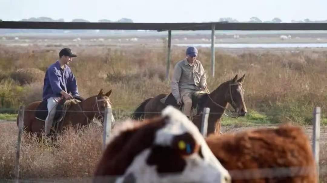 潘帕斯草原空着两万亩地，刘叔每天开着二手拖拉机绕圈，没人接班。

他不是不想招人