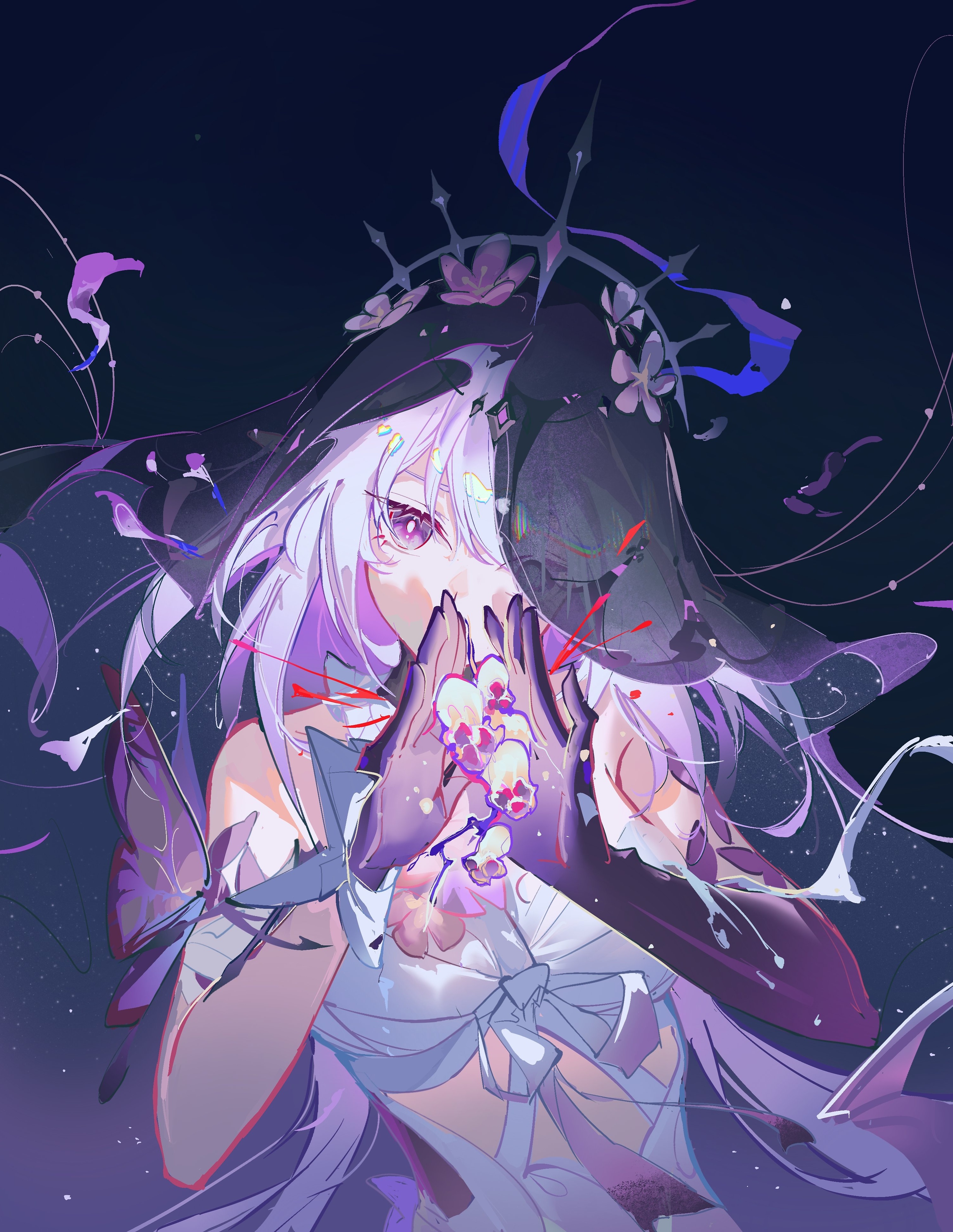 动漫遐蝶画师：Furiosopid：7537986 