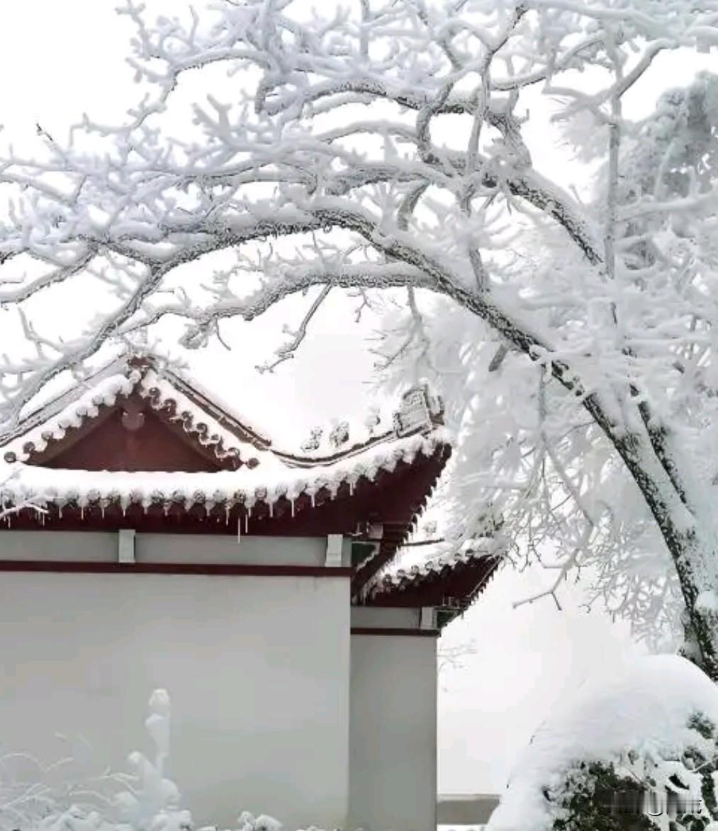 东方虬作《春雪》诗，“春雪满空来，触处似花开。不知园里树，若个是真梅？”武则天闻