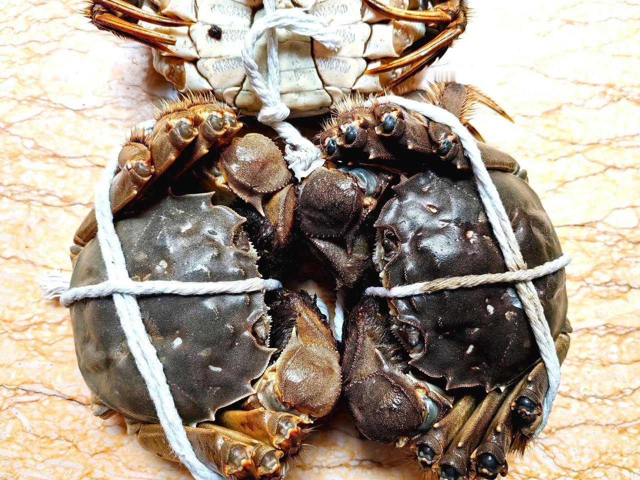 看行骗被诈骗。诈骗，行骗…，人只要是起了贪念欲念，离被骗也就不远了，信不信由你。