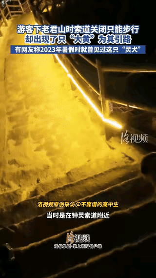 小姑娘年纪轻轻，怎会闯出如此大祸呢？
 
重庆合川一小姑娘在网上发视频求助，临近