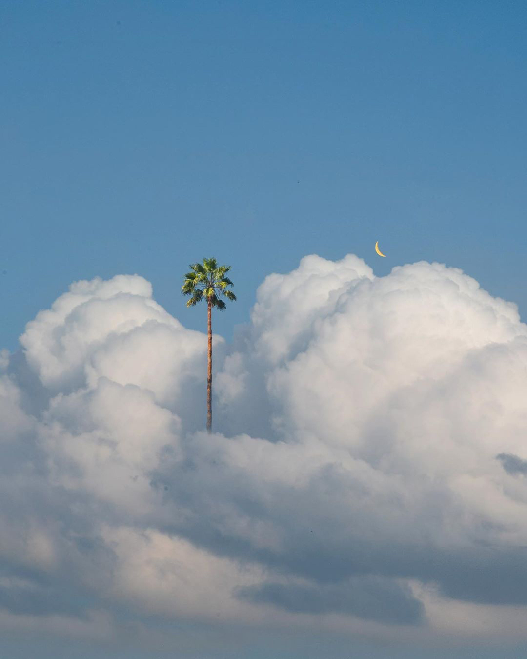老规矩，睡前一更。明日甲辰  丙寅  甲寅。明后两天的日课都是木气深重的，喜用为