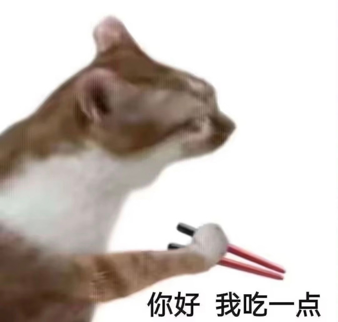 说一个减肥的冷知识分享一个我觉得有用的冷知识：同样的16+8，“早饭+午饭”比“