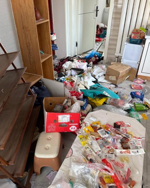 3女孩将房住包浆或为任性付出代价 马桶堵住后用猫砂盖住....这还是中文吗？垃圾