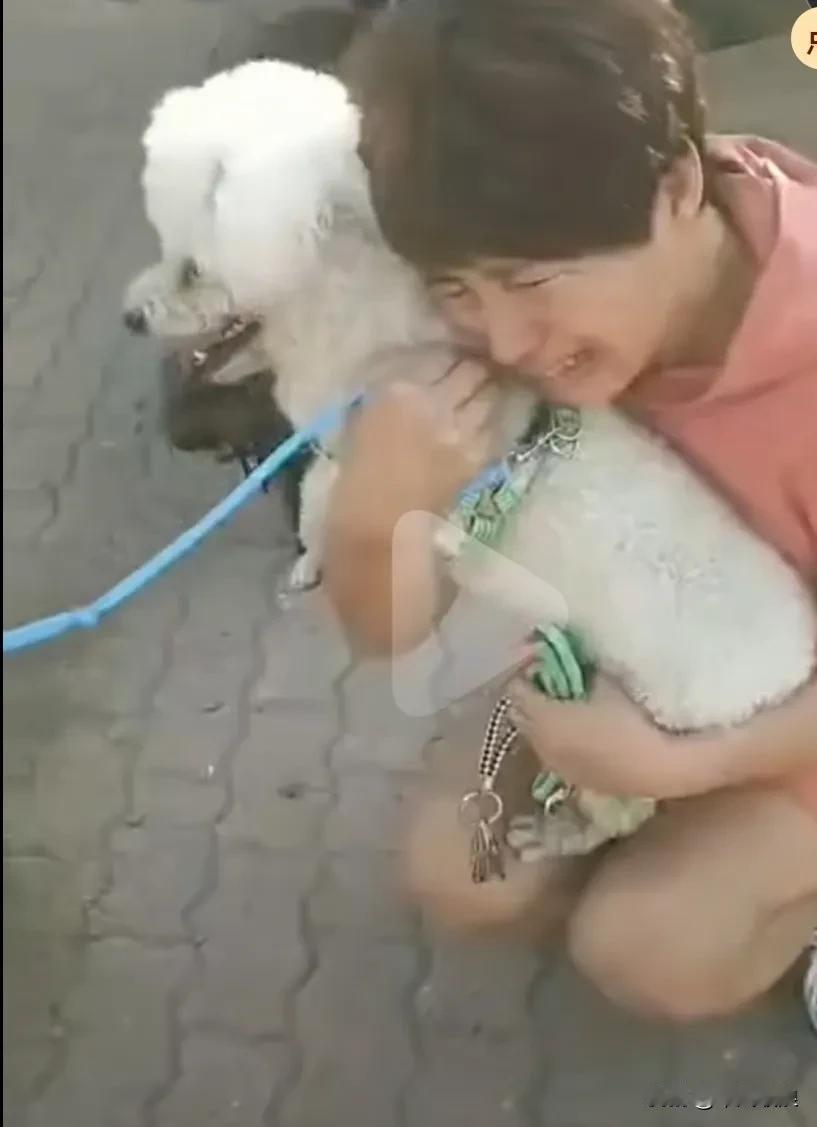 主人找到了丢失半年的爱狗，感动得放声大哭，像找到宝贝一样又是抱又是亲，激动得难以