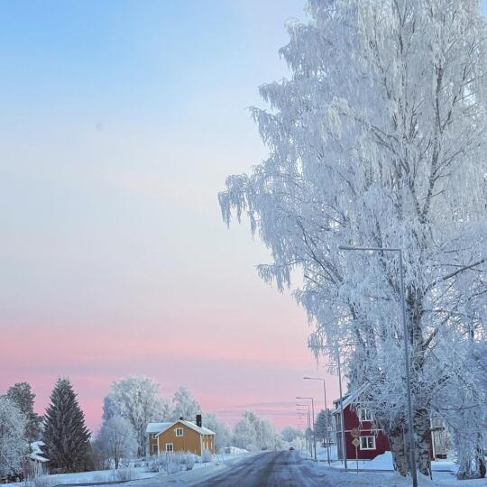 粉蓝🩷🩵芬兰