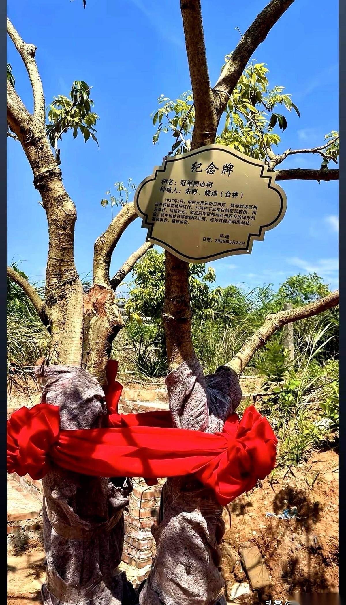 东奥会中国女排实力很强，小组没有出线，史上最差，莫名其妙输了。没有人说出具体原因