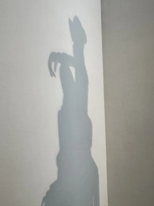 从这个影子你能看出来原物是什么吗？
