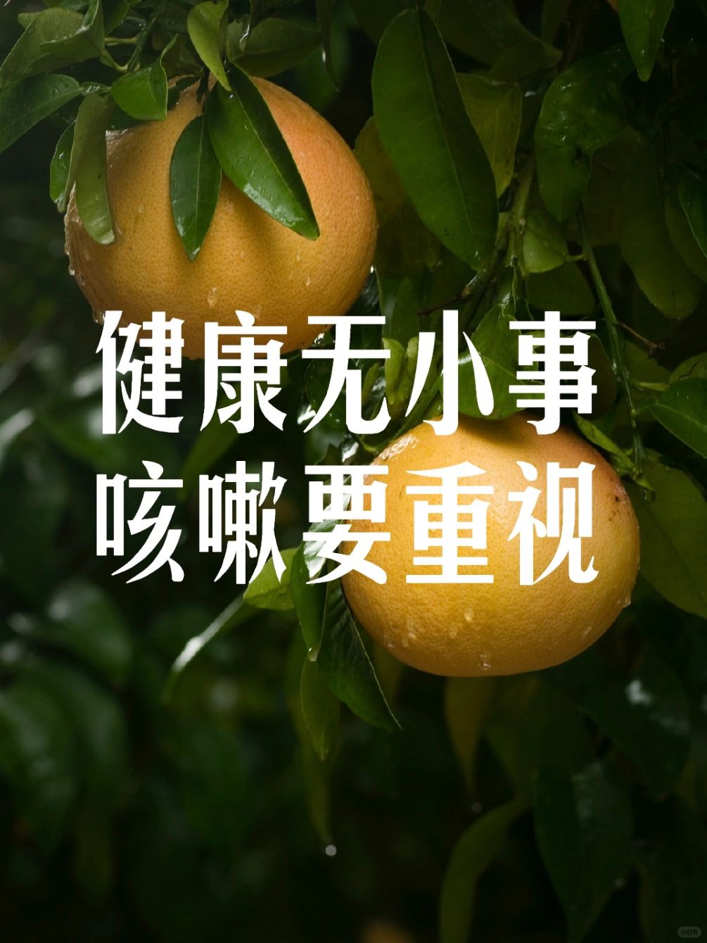 咳嗽不要盲目止咳！分清类型好得快