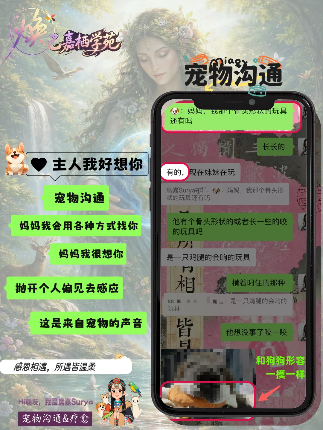 宠物沟通｜毛孩子会想你，想你很爱你