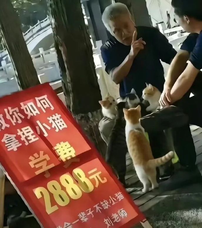 单看广告牌会觉得是骗人的，看到小猫围在大爷身边就知道这道行有三四层楼那么高有点东