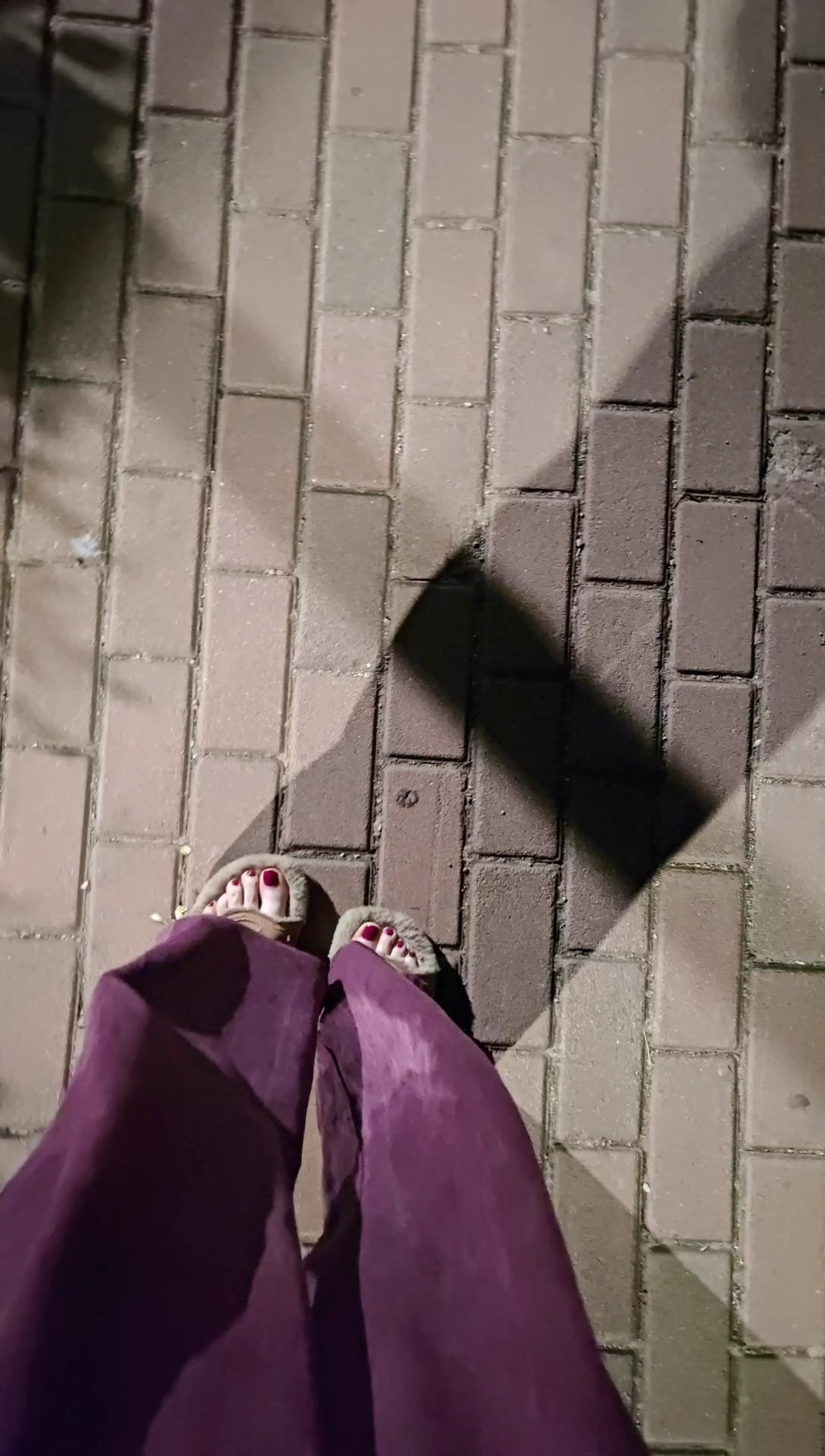 步行半个小时今晚冷飕飕的冻脚脚