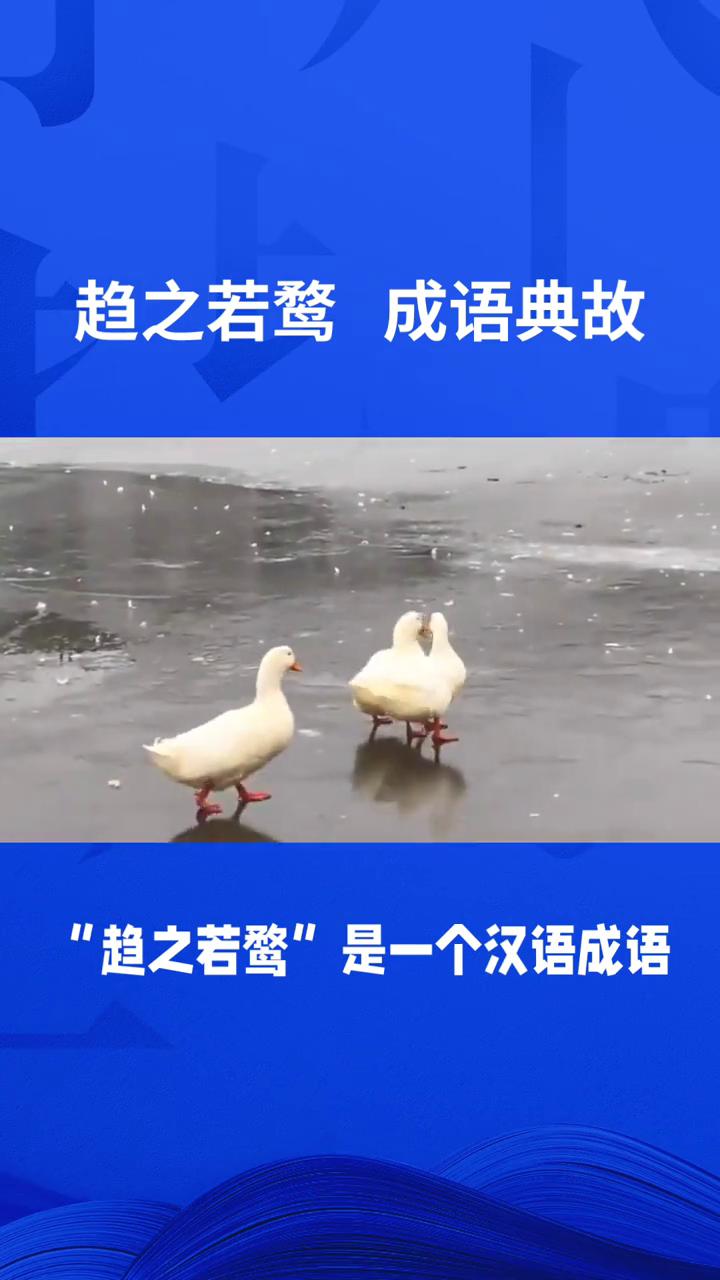 趋之若鹜成语典故。
"趋之若鹜"是一个汉语成语，意思是像鸭子一样成群地跑过去，比