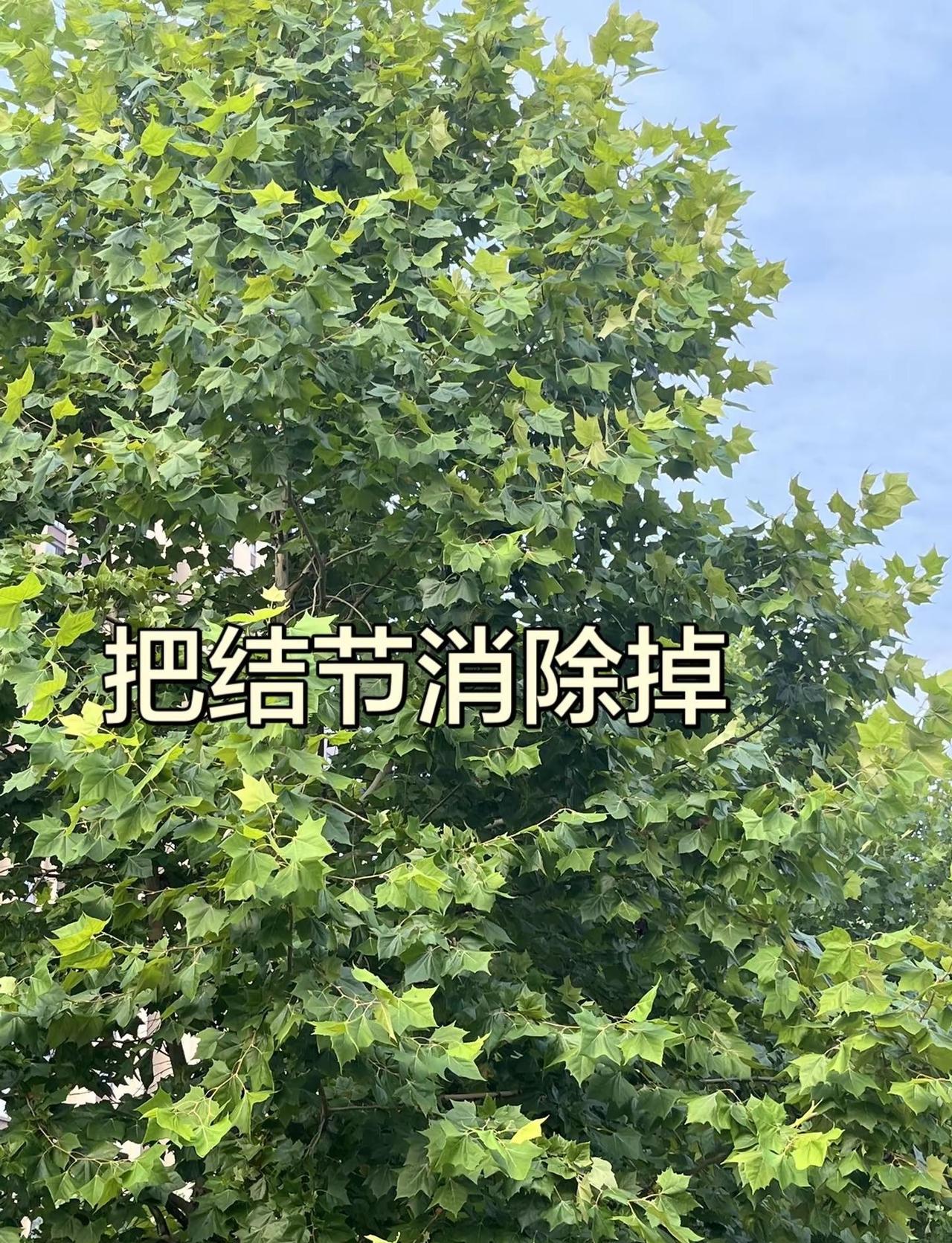 NBA 常规赛达拉斯飞翼主场以96-91逆转战胜芝加哥天空，李月汝 中国球员李月