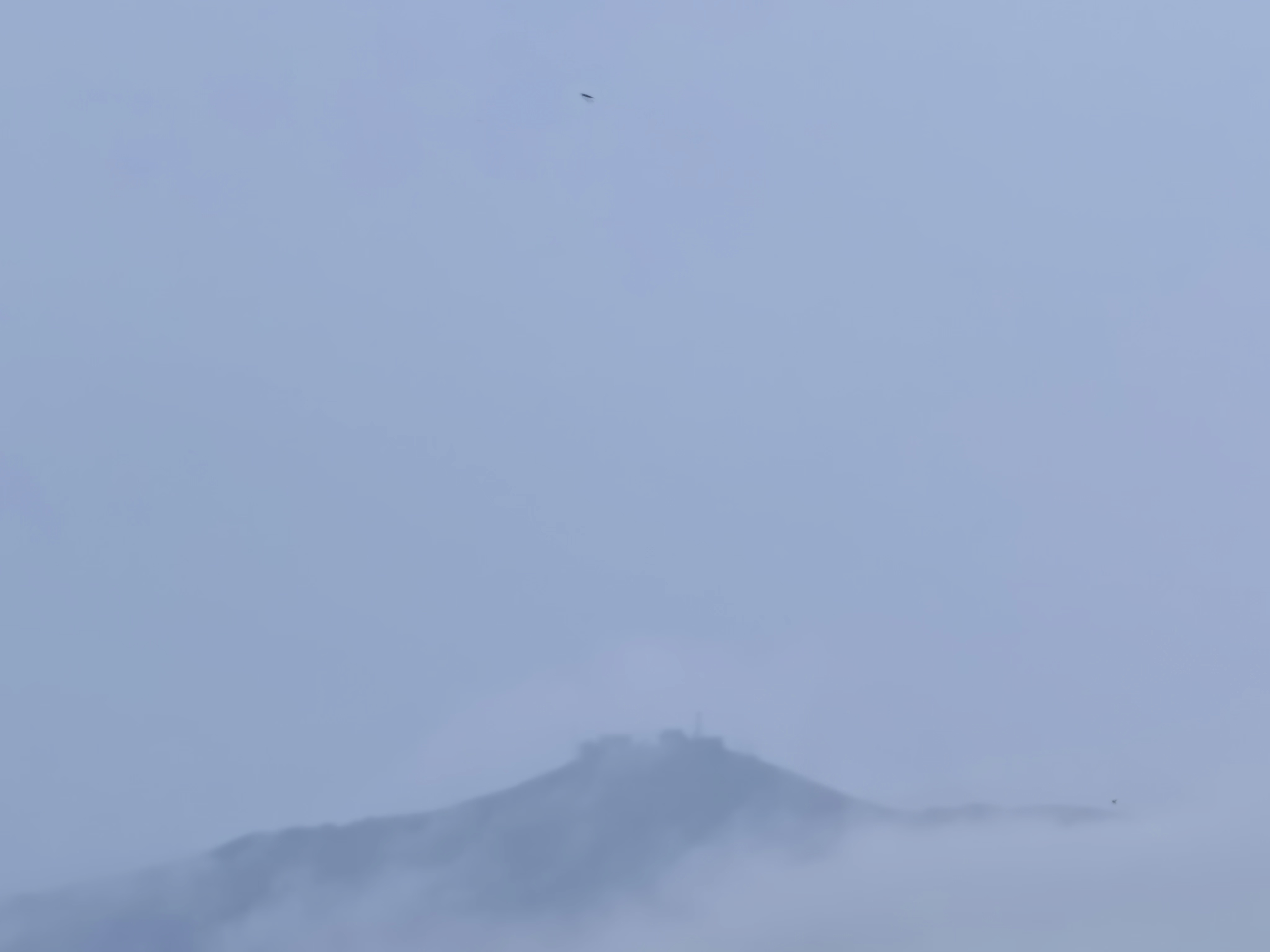 问：丛林中“侍者”一职，其名号的本义与设立的根本因缘为何？为何称其为“侍者”？答
