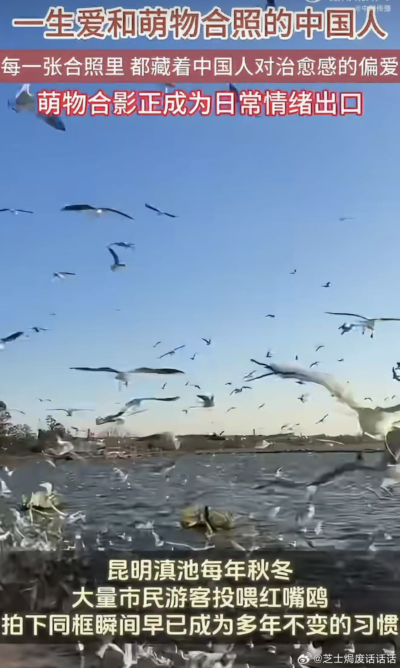 一生爱和萌物合照的中国人谁说看文物就得严肃拘谨，换上汉服模仿陶俑姿势拍照，厚重历