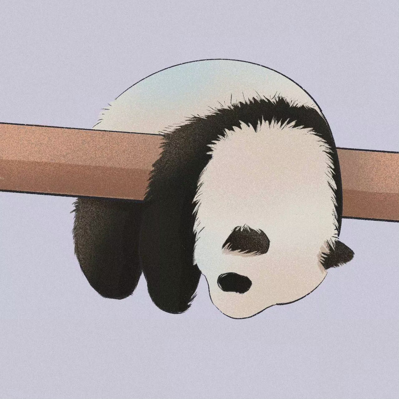 圆滚滚好阔爱啊 🐼 ​​​