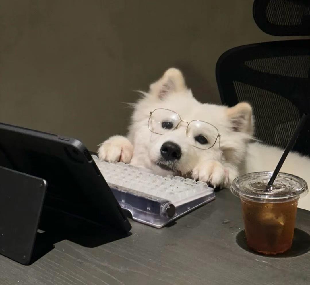 倒头就睡可能是身体求救信号好久没做噩梦了一梦就是一整晚so…这是什么求救信号？ 