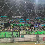 张真源贵阳演唱会现场，长灯牌多得让人惊叹。每一块灯牌都像是一个小小的音符，它们汇