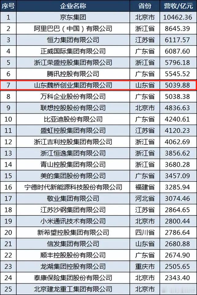🔶的发起者是石头科技创始人昌敬，他给极石找了个很牛逼的合作方：山东魏桥创业集团