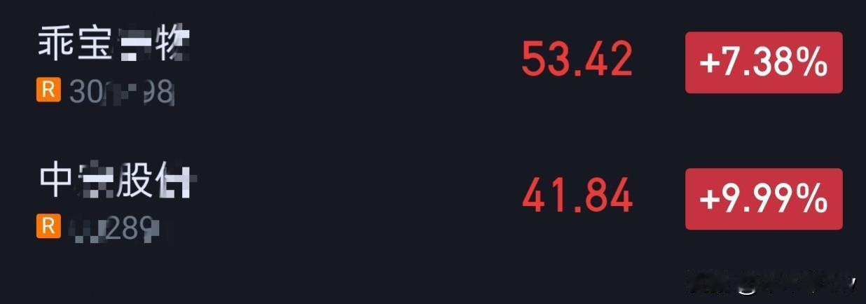 今天大盘有新人的，就是宠物经济。我稍微看了一下，这两个还不错。他们的毛利也有30