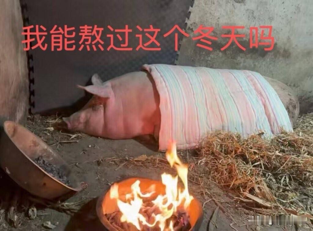 长这么胖熬过春节都难