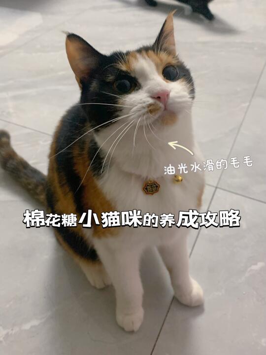 春天来啦，磷虾油安排上
