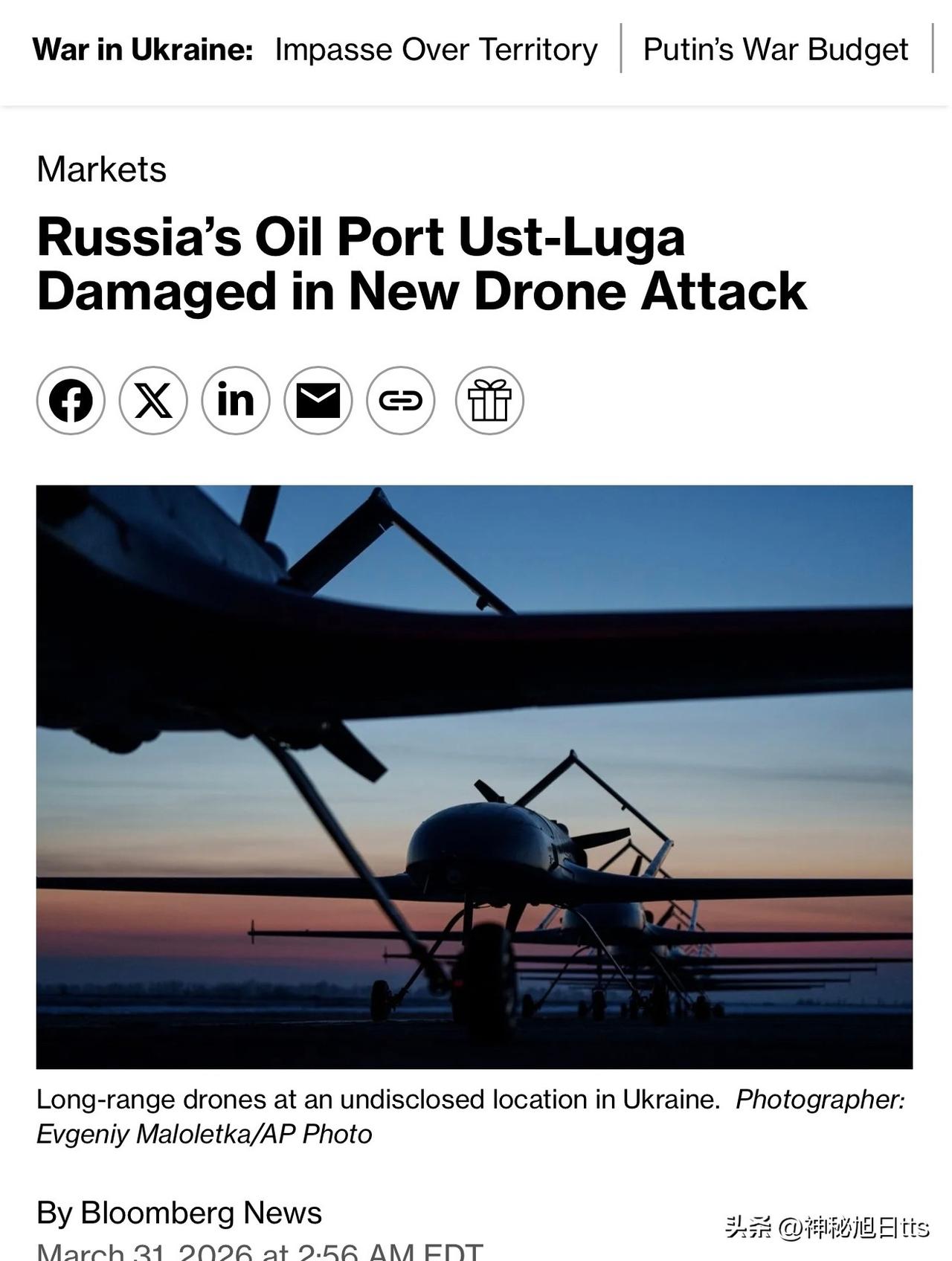 俄罗斯海上原油出口因波罗的海港口遭袭下降 40%



乌克兰对 Primors