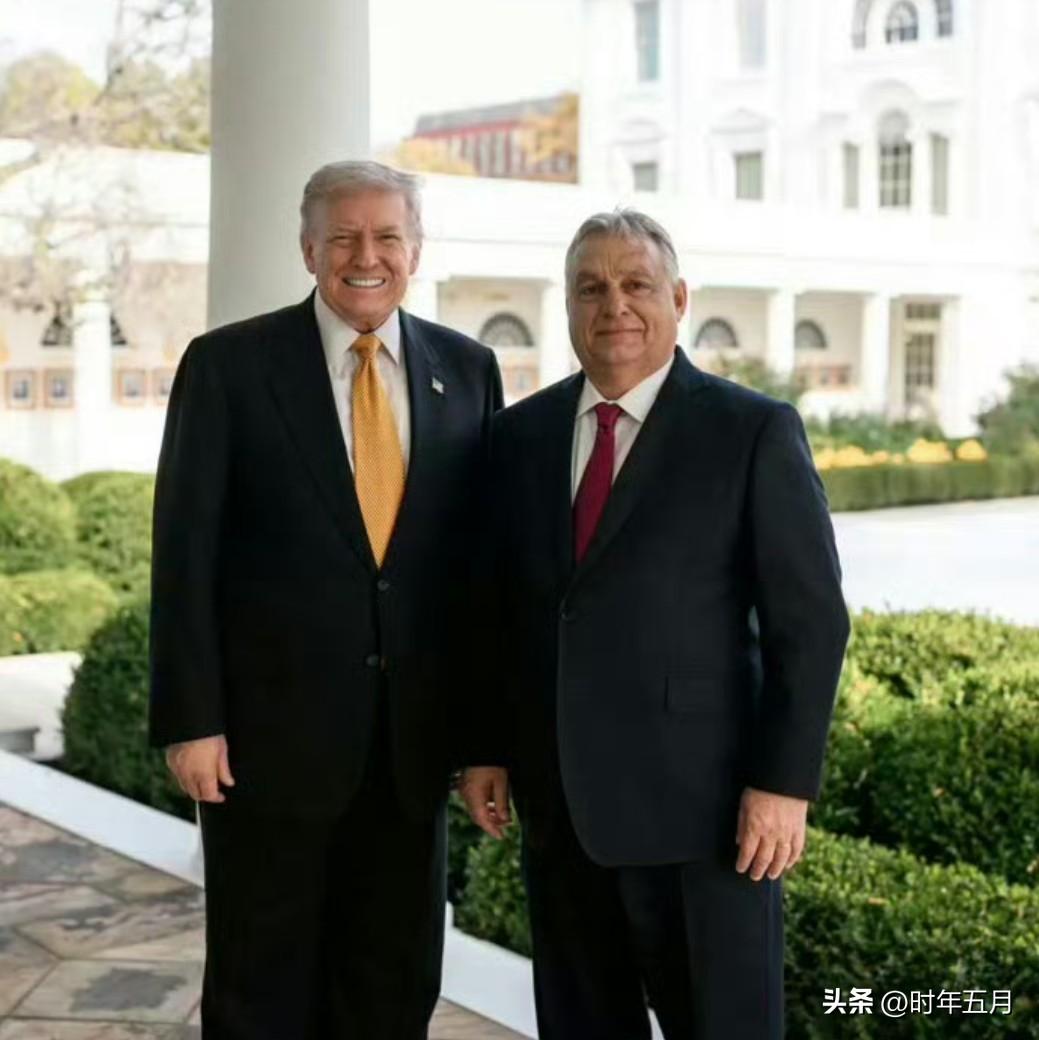 英媒称，特朗普有意沿用阿根廷和洪都拉斯模式影响匈牙利大选，以美国援助来为欧尔班拉