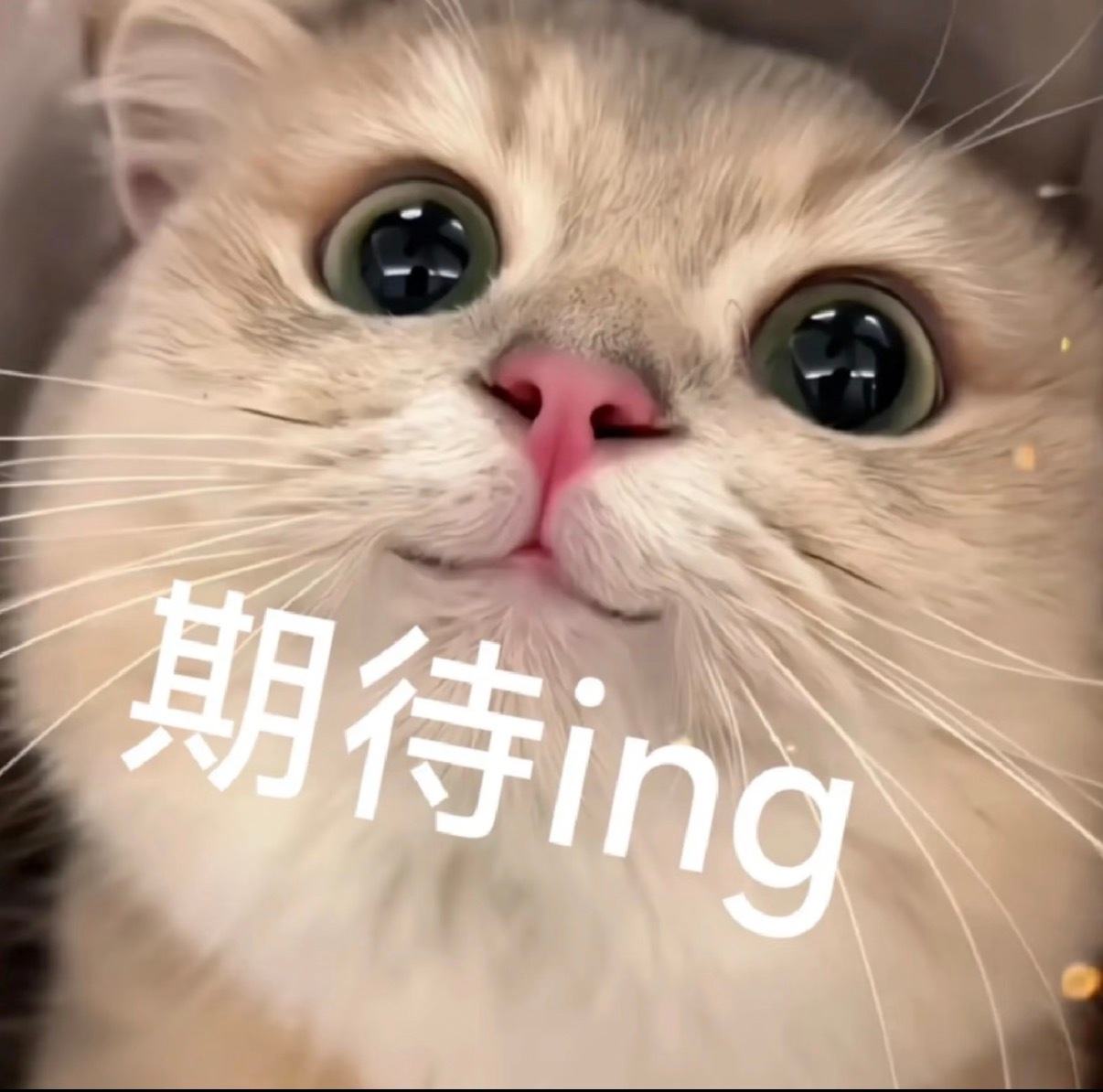 刘诗诗沈乐水 lss刘诗诗醉梦 晚间派对开始咯‼️今晚还是姐姐的高考祝福博～小狮