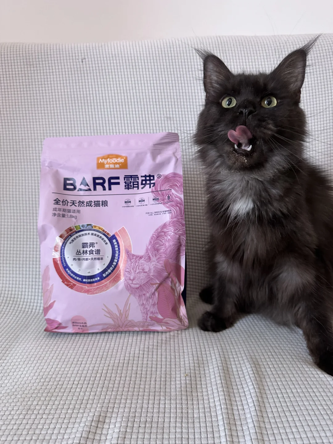猫猫豆 小猫嘴巴在这里