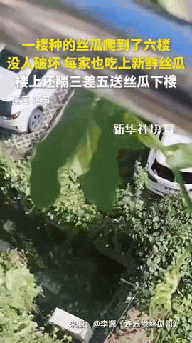 这下出名了，不仅江苏知道了，

全国人民都知道了！

江苏连云港，住在一楼的张阿