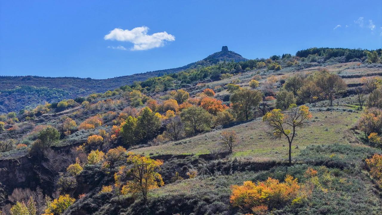晋绥边区初期六县知多少（六）
清平县
于1939年1月正式成立,到1940年10