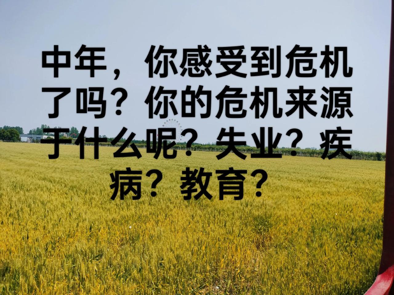 39岁全职宝妈10年，回归职场6个月，又失业了。年龄太大了，在职场一直被边缘化。