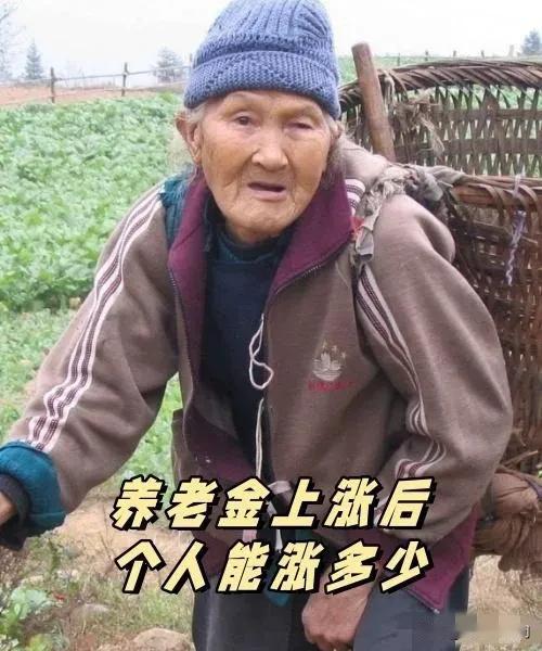 没有职工退休金的零头多，养老金每月上涨20元！
20元在农村可以买一袋10斤的大