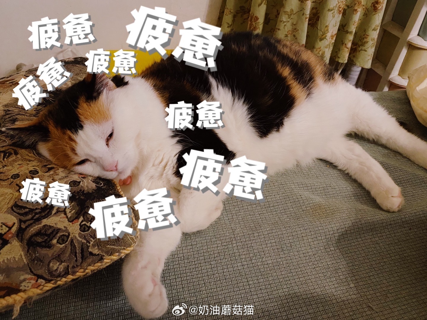 年纪上来了不服不行。以前晃来晃去，一抬眼最少2:22….现在真的熬不动了，而且不