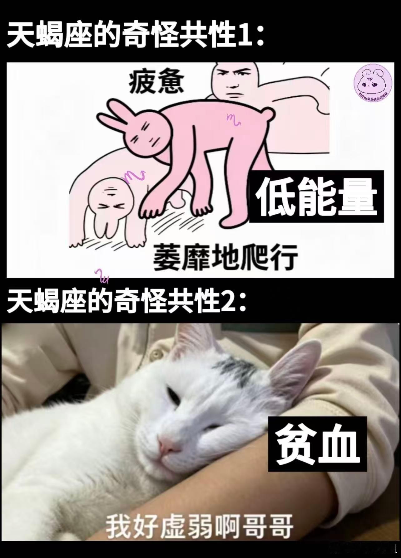 好神奇，我认识的天蝎里面真的好多都是偏虚弱的😂 感觉出去逛一天，回家得歇两天才