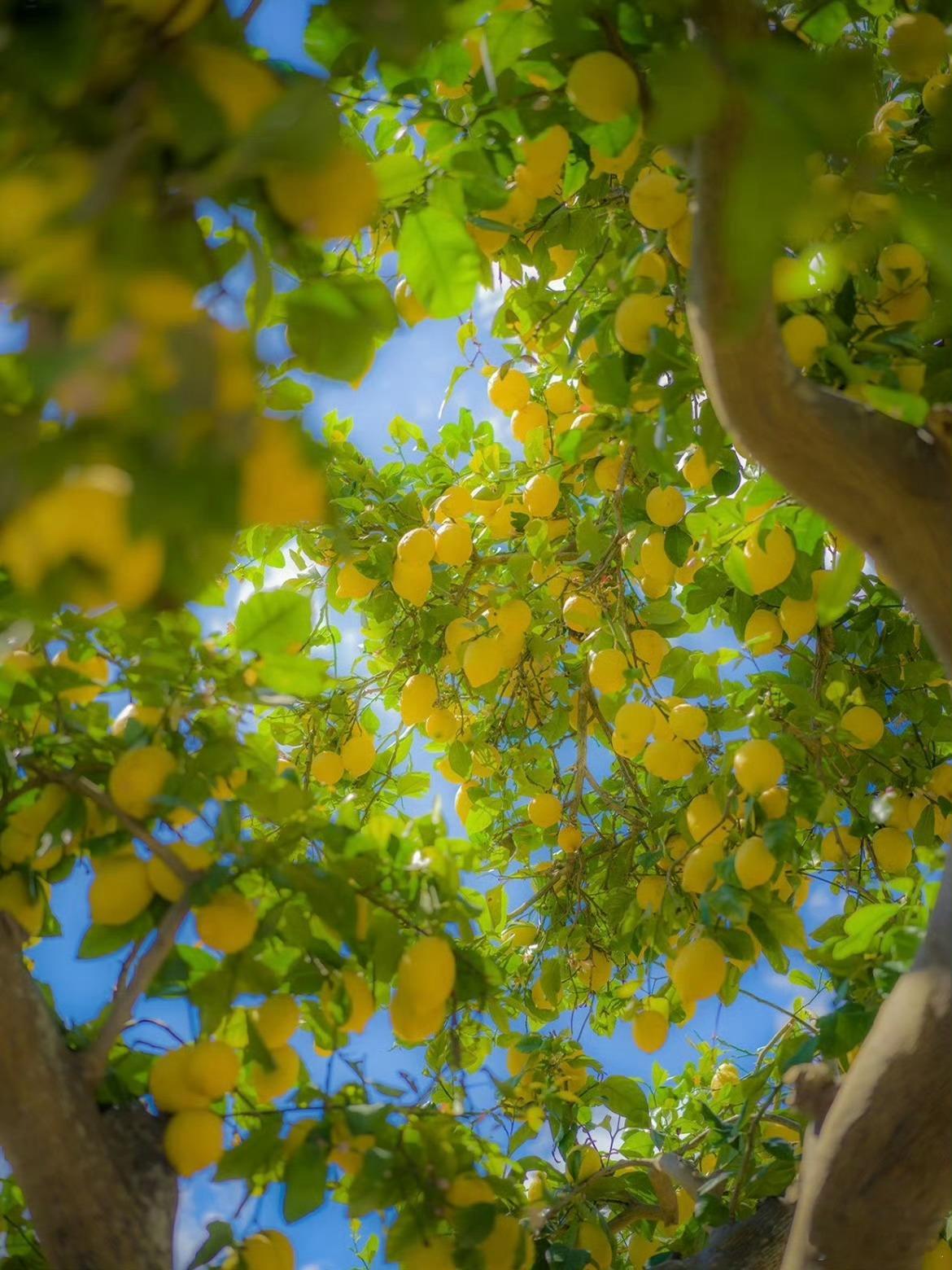 分享图片 ​​​