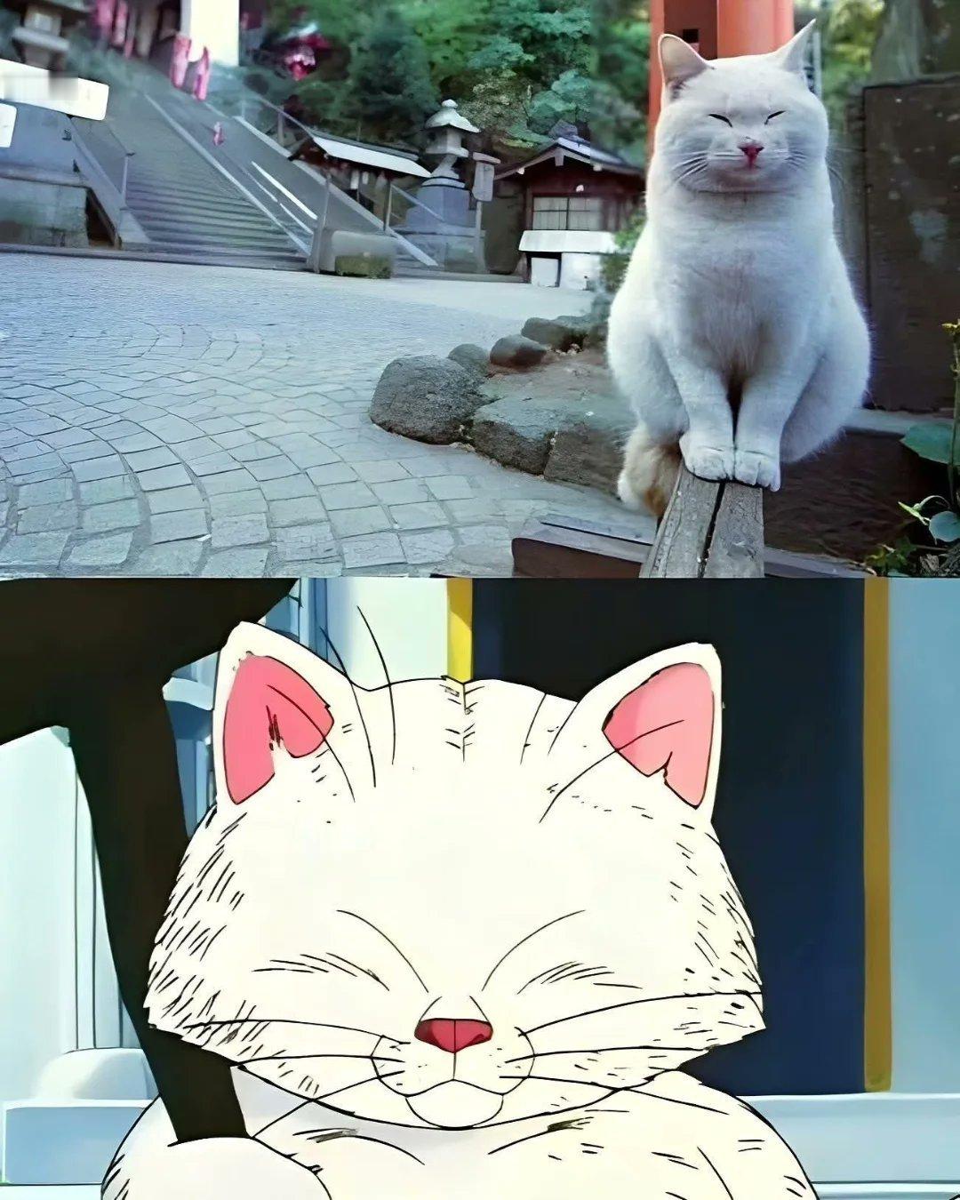 请给我两颗仙豆 ​​​