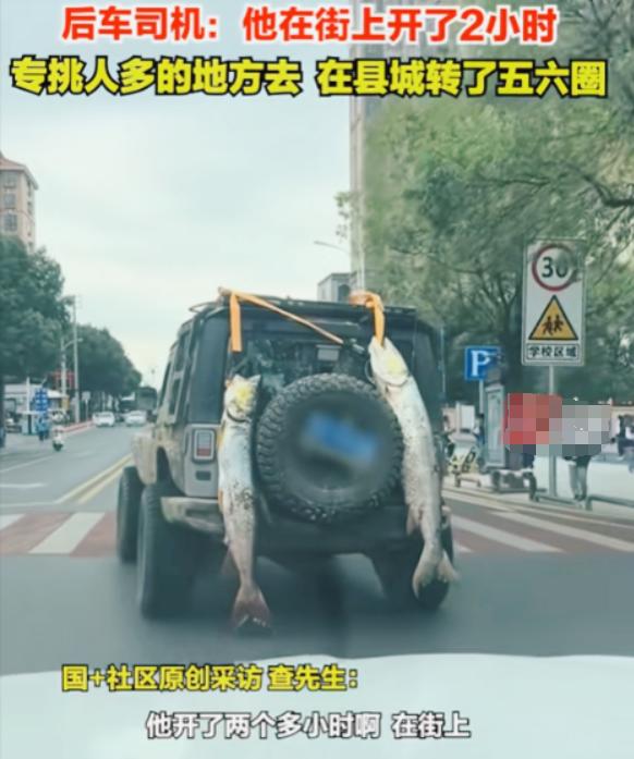 “这不就装起来了！”江西九江，一男子把钓到的两条大鱼挂在车尾炫耀，在县城里开了2