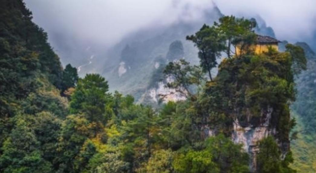 为什么禁止进入神农架深处？一位60多岁的巡山员告诉我：别看神农架拥有大量高等植物