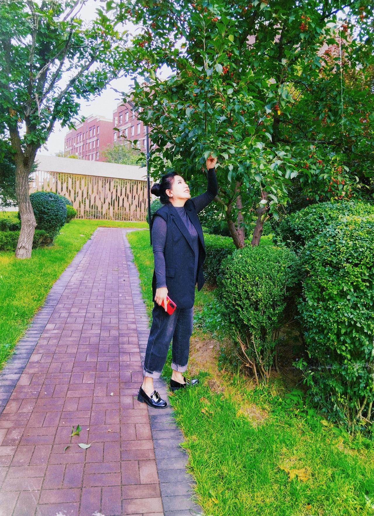 今日随手拍